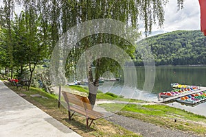 Pavement on the shore of Lake