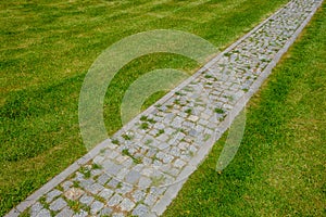 Pavement walk path in park