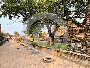 Pavements inside Wat Maha That Ayutthaya photo