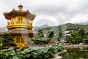 The Pavilion Of Absolute Perfection On Island In The Middle Of The Lotus Pond In Nan Lian Garden, Hong Kong.