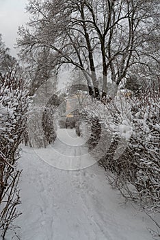 Pavilion Aviary and Green Labyrinth.  The Winter landscape. Pavlovsk Palace Park. Saint-Petersburg, Russia