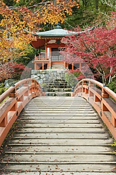Pavilion and bridge in japanese garden