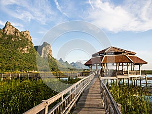 Pavilion and bridge through the marsh
