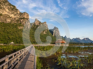 Pavilion and bridge through the marsh