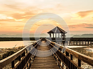 Pavilion and bridge through the marsh