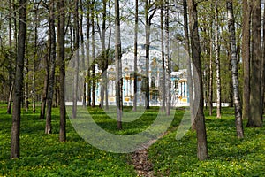 Pavilion in Catherine`s park in Tsarskoe Selo through the woods