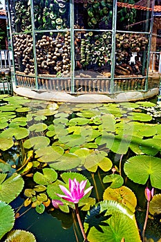 A pavilion filled with land mines at the Aki Ra Landmine Museum, Siem Reap, Angkor, Cambodia