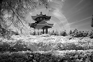 Pavilion at Giant Wild Goose Pagoda, China, Xian