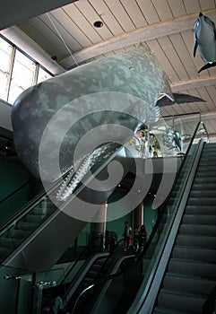 Pavilion of Oltremare with escalators. Family Experience Park. Italy