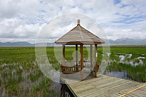 Pavilion in Wetlands