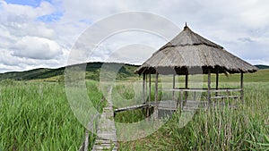 Pavillion and wooden bridge through the reed natural reserve from Sic.