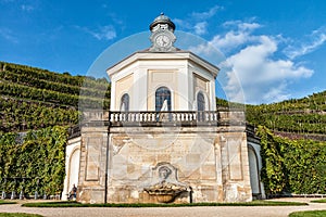 Pavilon and vineyard