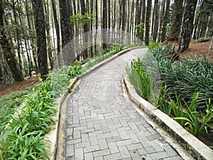 paving block stone road that serves as a staircase leading to natural attractions.