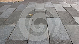 Paving Block texture on the sidewalk or in the city park.