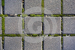 Paving blocks
