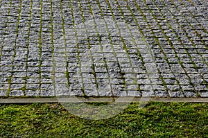 Paving of cubes in a regular grid square pattern. gray granite path with overgrown joints with moss and connected to the lawn. pat