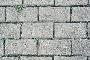 Paving slabs, copy space. Covering with modern textured paving slabs of square shape. Paving slabs. Seamless textures