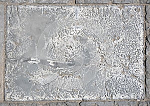 Paving slabs, fossilized shells, texture of fossils