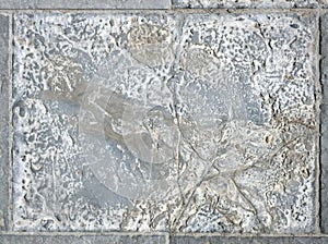 Paving slabs, fossilized shells, texture of fossils