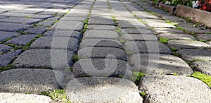 Paving slabs with a grass. Cobblestone striped pathway. Detail of ancient road surface . Grey paving stones closeup.