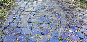 Paving slabs with a grass. Cobblestone striped pathway. Detail of ancient road surface . Grey paving stones closeup.