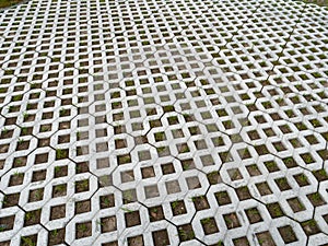 Paving slabs lawn grill with green grass