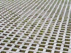 Paving slabs lawn grill with green grass