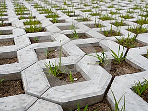 Paving slabs lawn grill with green grass