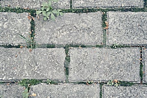 Paving slabs. Seamless textures, amenable to stacking, close-up rows. Paving slabs, copy space. Covering with modern photo
