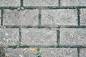 Paving slabs. Seamless textures, amenable to stacking, close-up rows. Paving slabs, copy space. Covering with modern photo