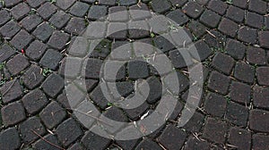 Paving stone artwork