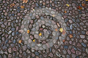 Paving stone autumn texture