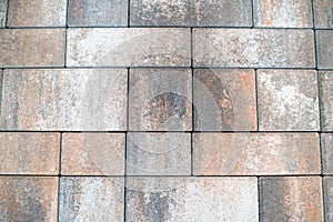 Paving stone close up