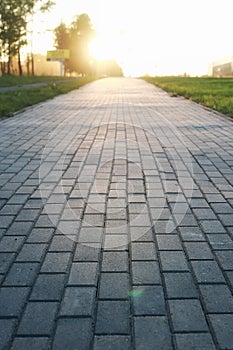 Paving stone path goes away the prospect in sunset