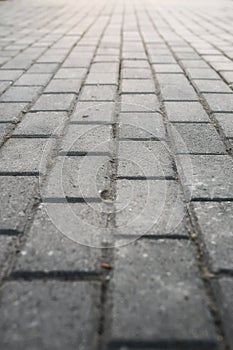 Paving stone path goes away the prospect in sunset