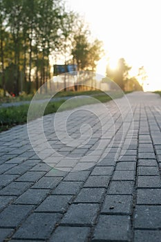 Paving stone path goes away the prospect in sunset