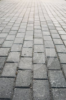 Paving stone path goes away the prospect in sunset