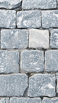 Paving stone on Red square, Moscow Russia