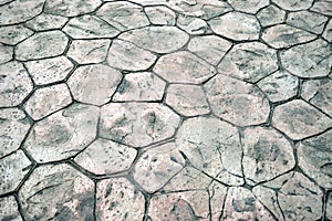 Paving stones and Background