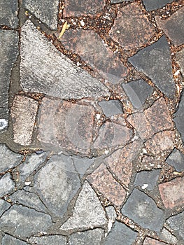 Paving stones, buried in the ground.