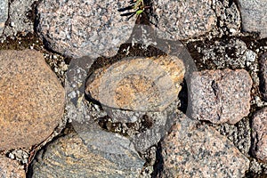 Paving stones with moss