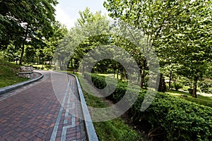 Paving stones on path near green trees and bushes