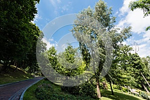 Paving stones on walkway near green trees and bushes