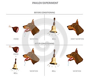 Pavlov\'s dog experiment showed how dogs could be conditioned to associate a neutral stimulus with a reflex response