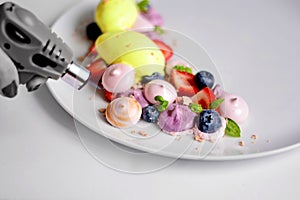 Pavlova | Basil Ice Cream | Blueberry Meringue | Strawberry Marshmallows