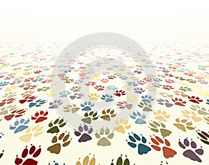 Paw floor