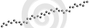 Paw foot trail. Cat and dog walk track silhouette, wild animal and pet paw print texture. Vector puppy and kitten paw photo