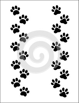 Paw print animal track set banner divider border.