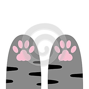 Paw print set. Kitten silhouette icon sign symbol. Cute cartoon kawaii legs. Dog cat pawprint. Pink footprint. Striped fur. White