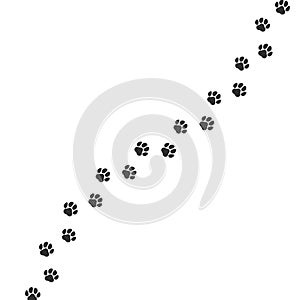 Paw print trail on white background. Vector cat, dog wild animal pawprint walk line, paw path pattern background photo